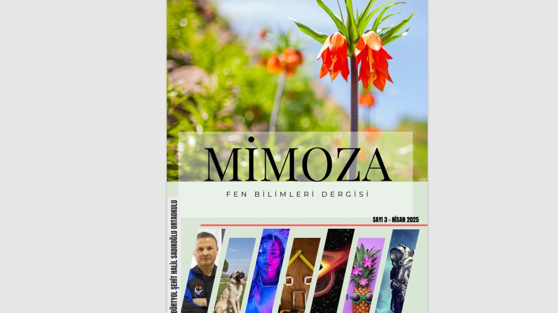 FEN BİLİMLERİ DERGİSİ MİMOZA'NIN 3. SAYISI YAYIMLANDI